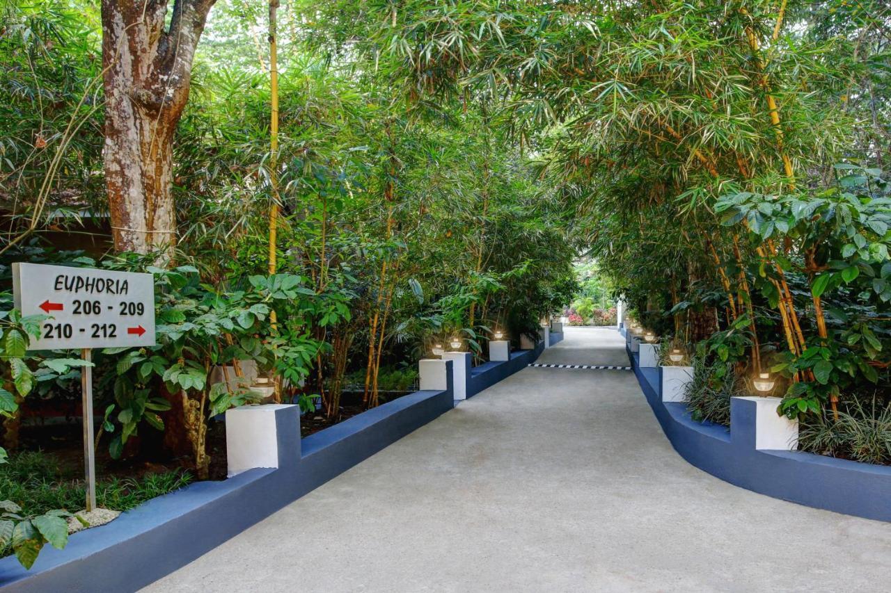 Gokulam Grand Resort & Spa, Coorg Kushalanagar Bagian luar foto